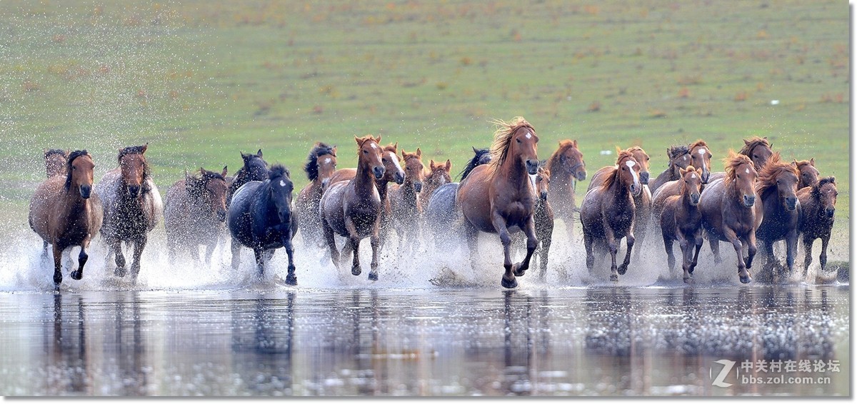 坝上水上跑马图
