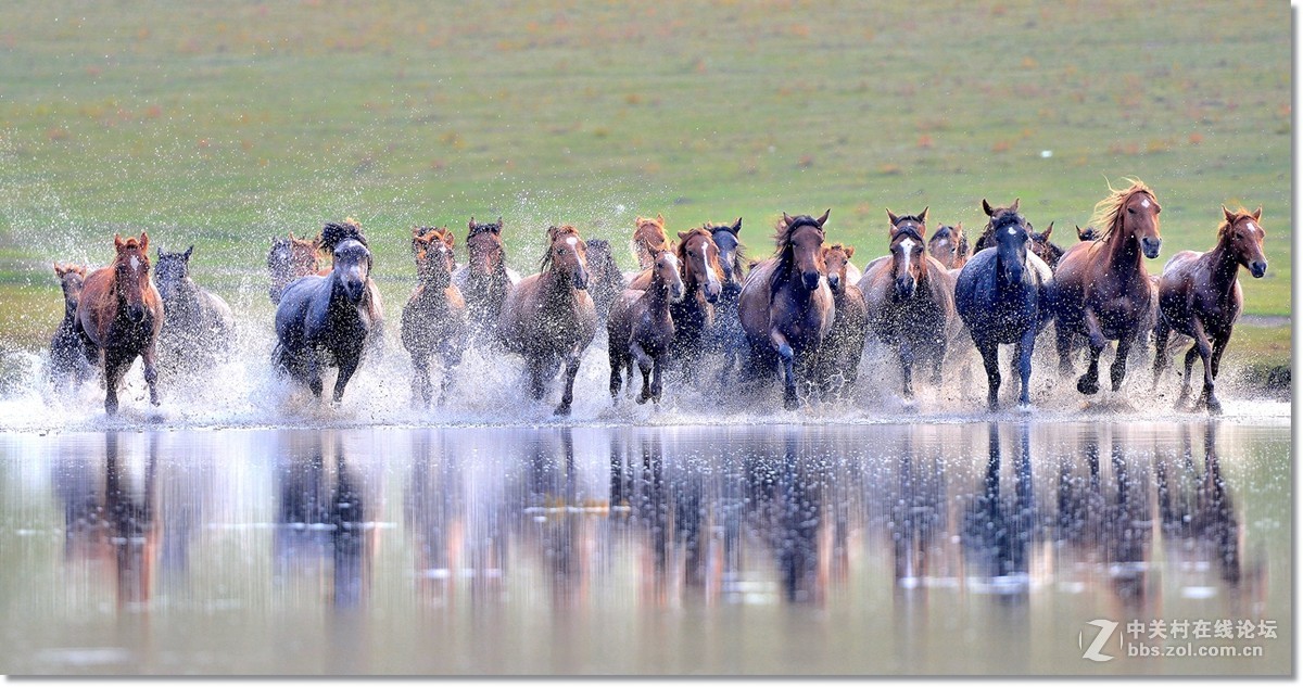 坝上水上跑马图