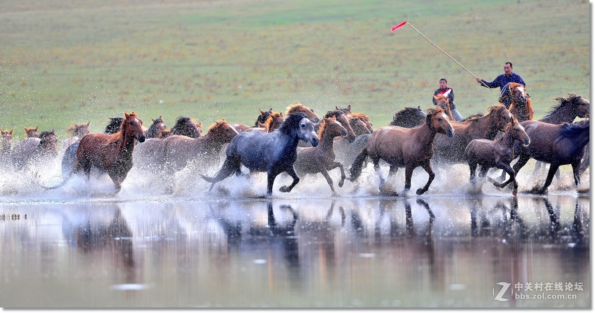 坝上水上跑马图