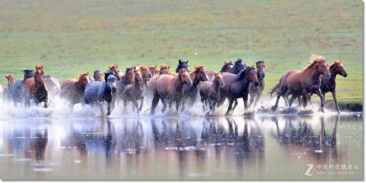 坝上水上跑马图