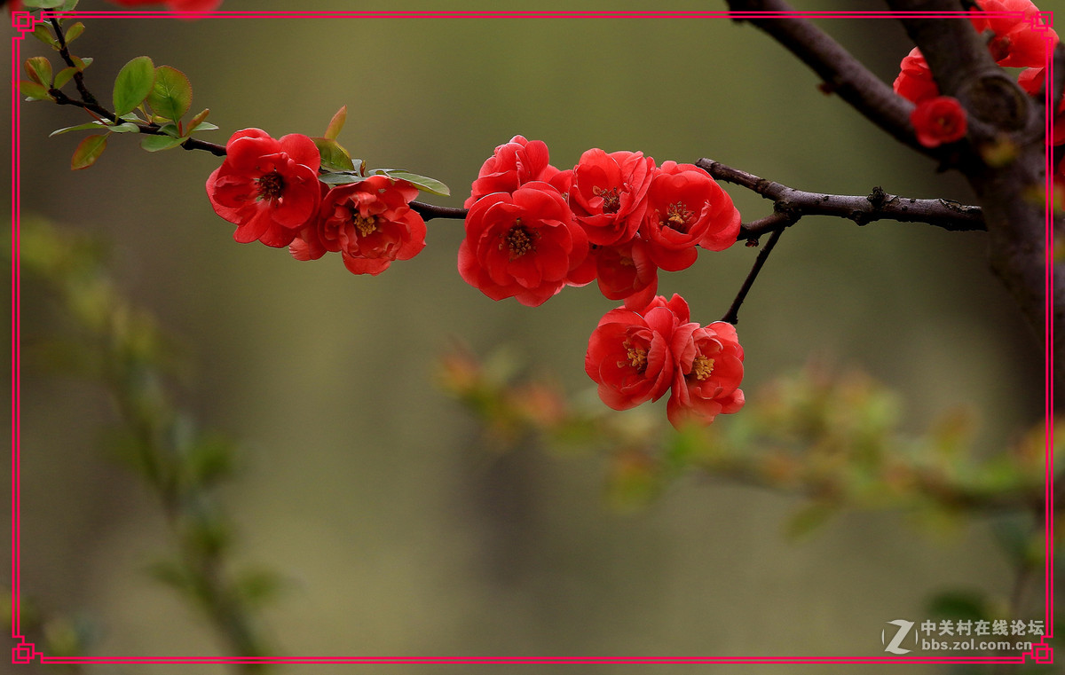 花～～～～～～