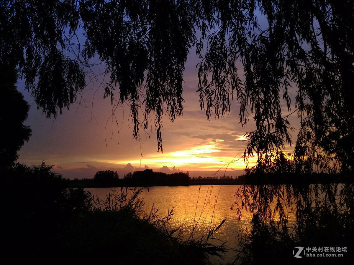 晚霞（手机拍摄）