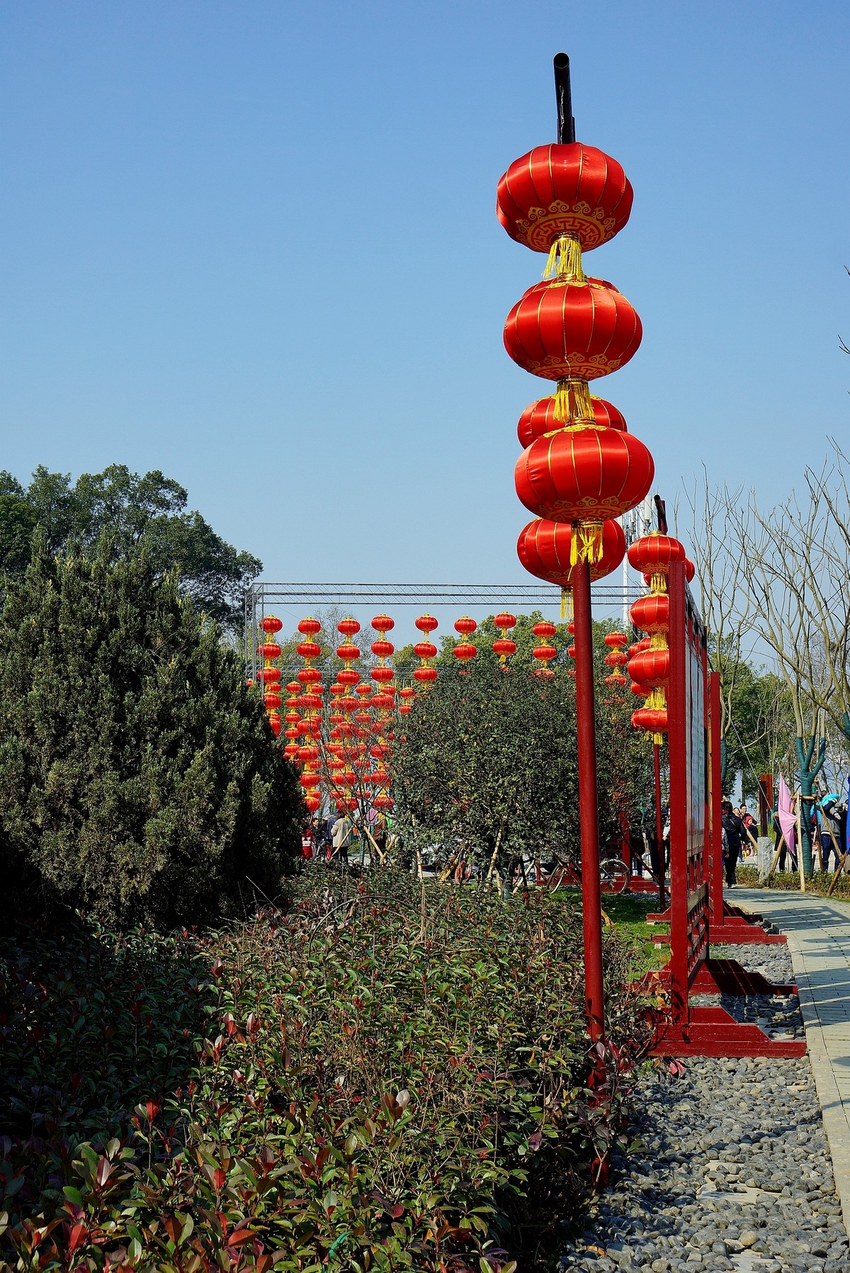 武汉印象-----大红灯笼高高挂！。。。。。。。。。