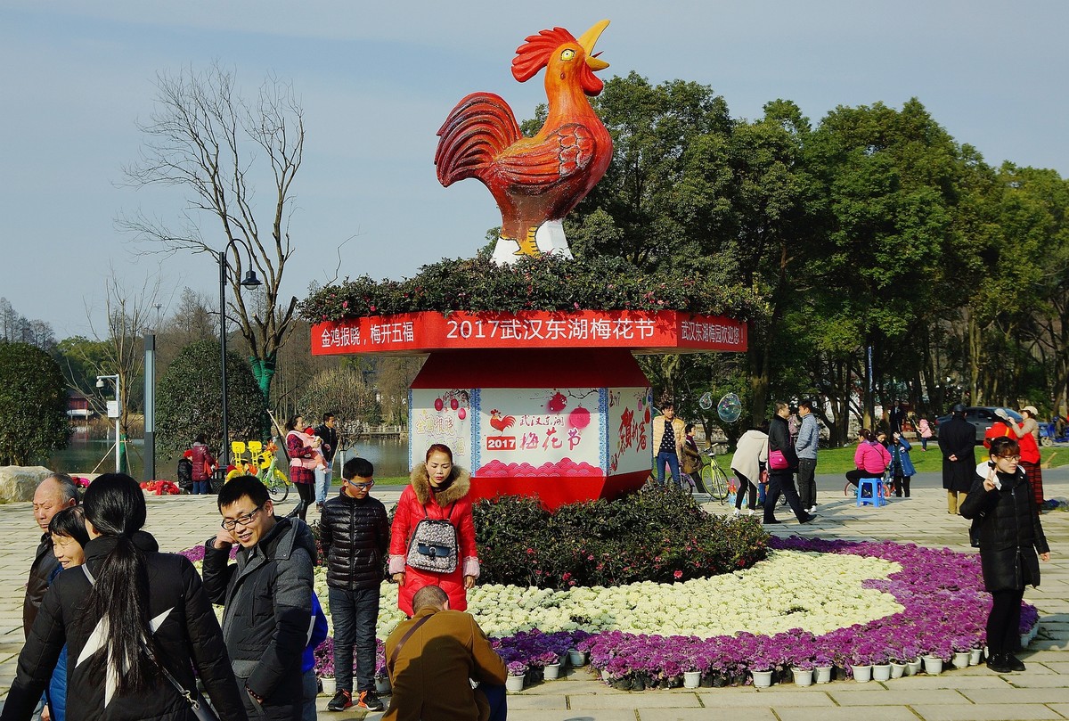 武汉印象-----大红灯笼高高挂！。。。。。。。。。