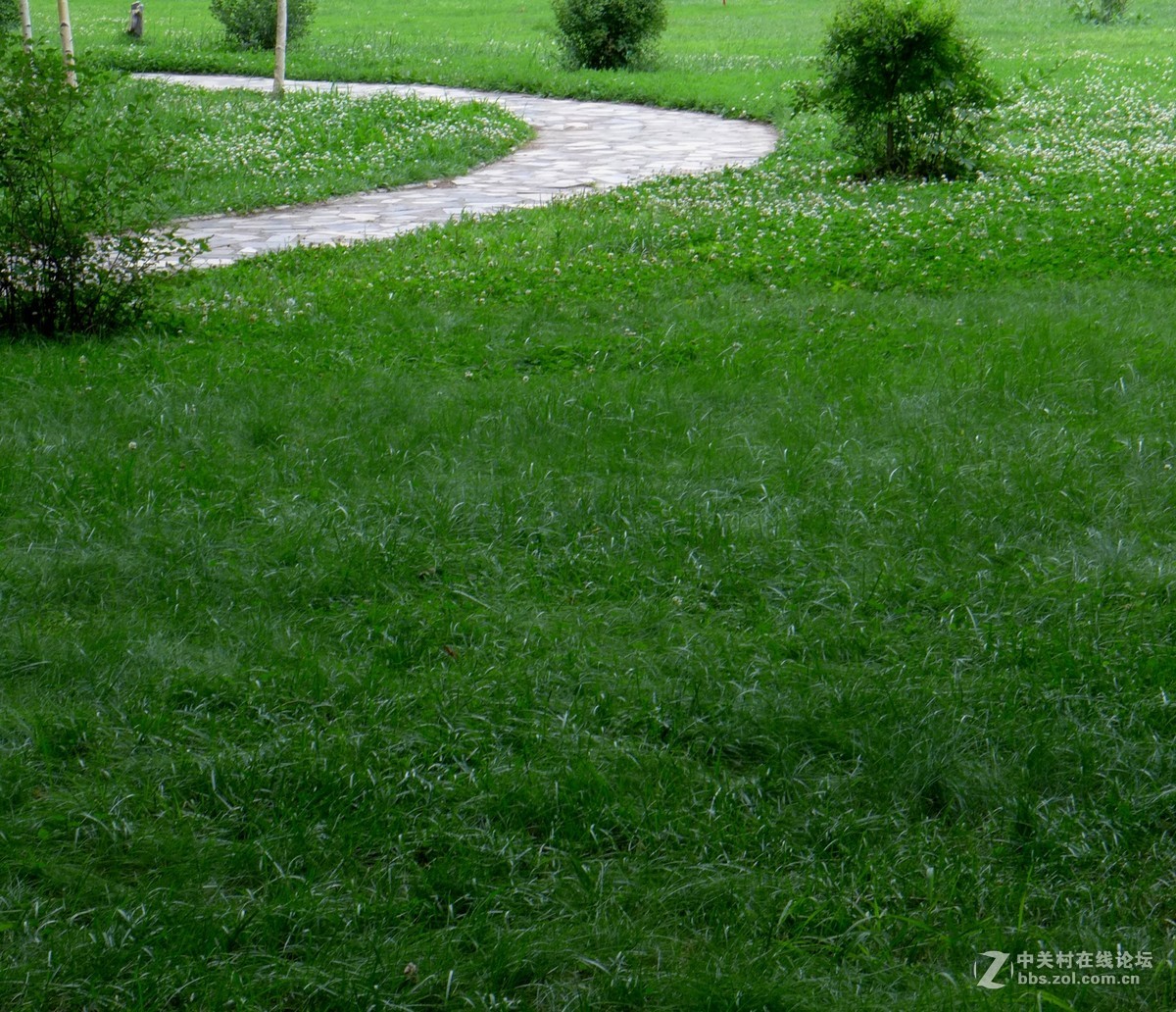 散步随拍48（小径小景），请多多指教。