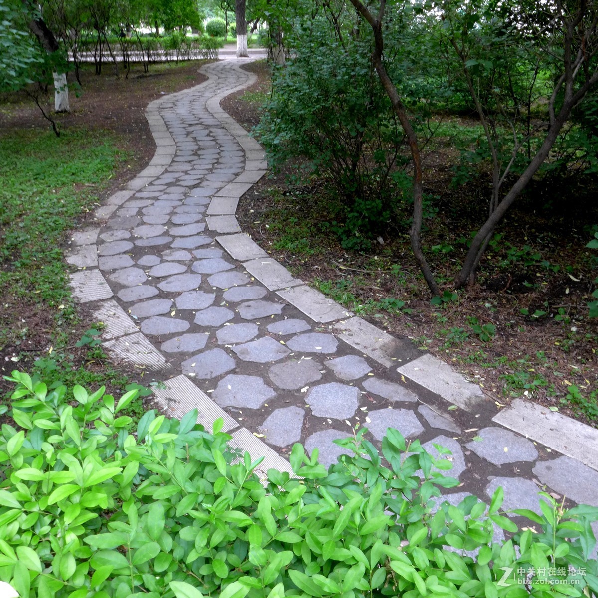 散步随拍48（小径小景），请多多指教。