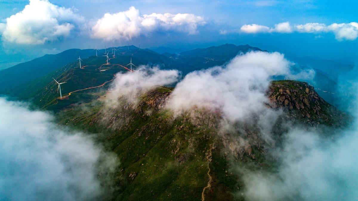 江西玉华山一脚跨三地杜鹃花开别样红