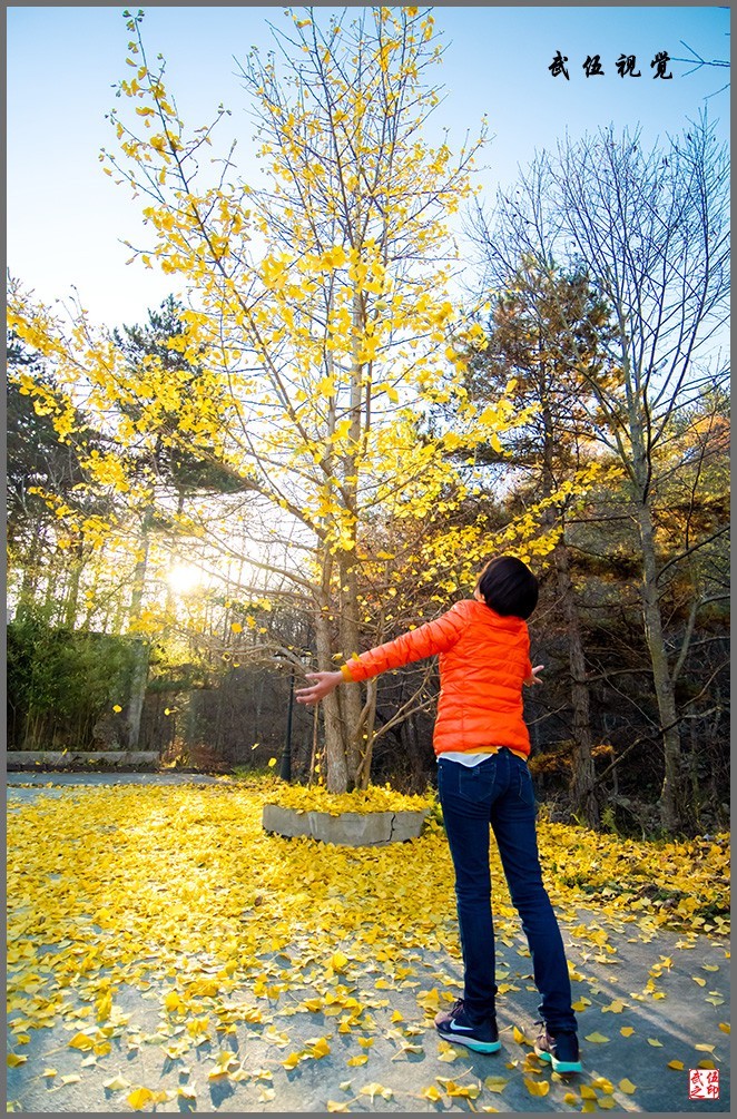 秋色尽染鹞落坪