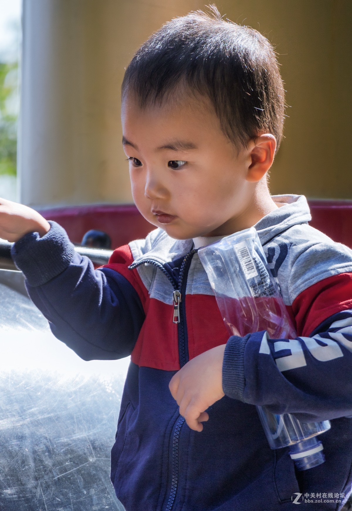 中长焦儿童抓怕