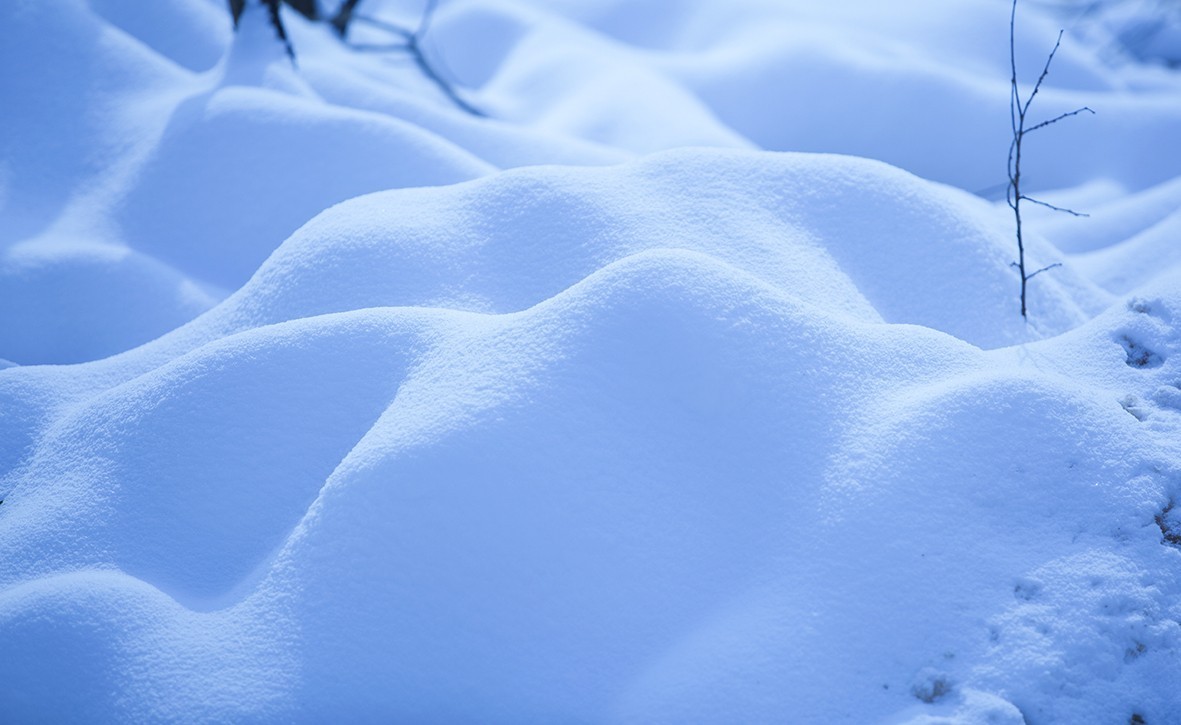 雪花飄落江南里