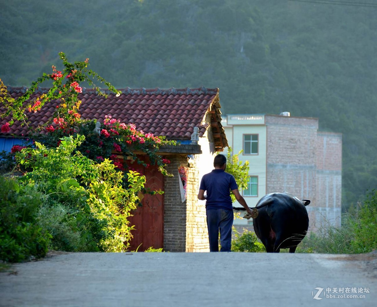 农村人文-中关村在线摄影论坛