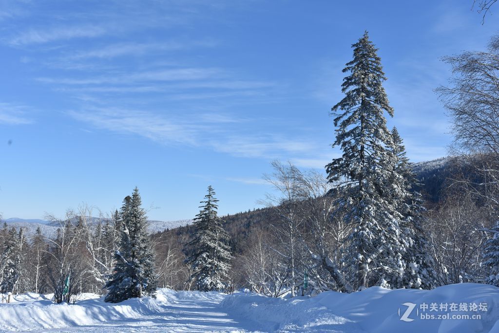 北国风光---冰雪童话-中关村在线摄影论坛