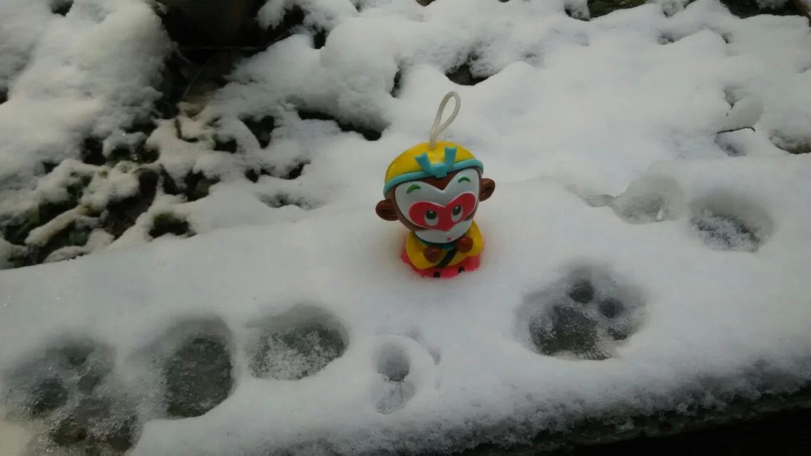 冰雪奇猴