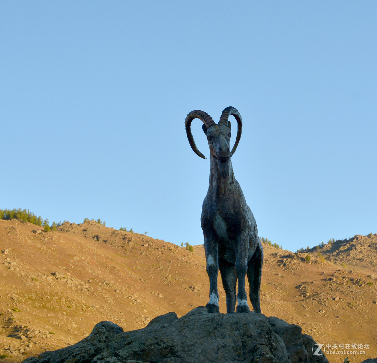 新疆哈萨克族人生礼仪石人群像