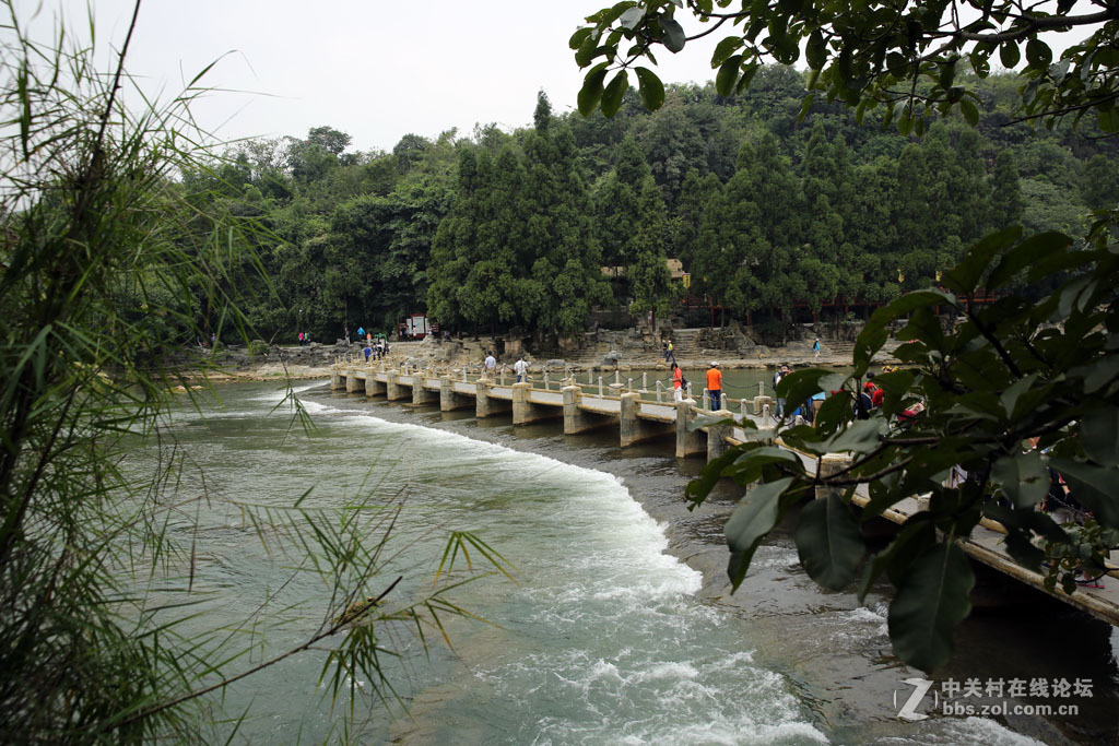 贵州行【喀斯特水上石林】游拍。