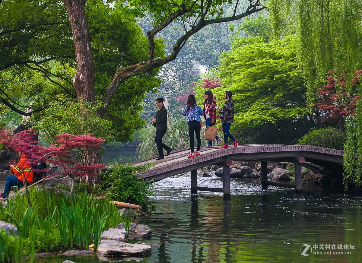 杭州西湖邊太子灣公園