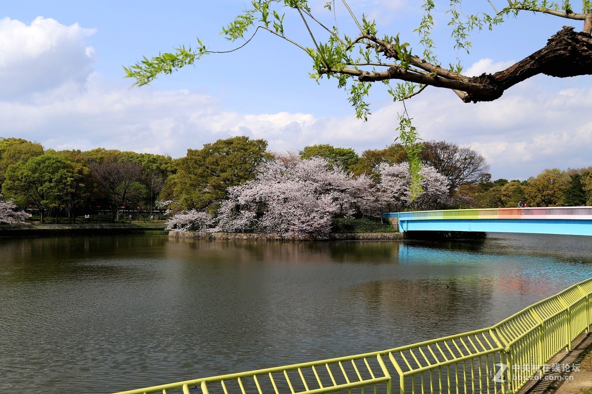 长居公园随拍