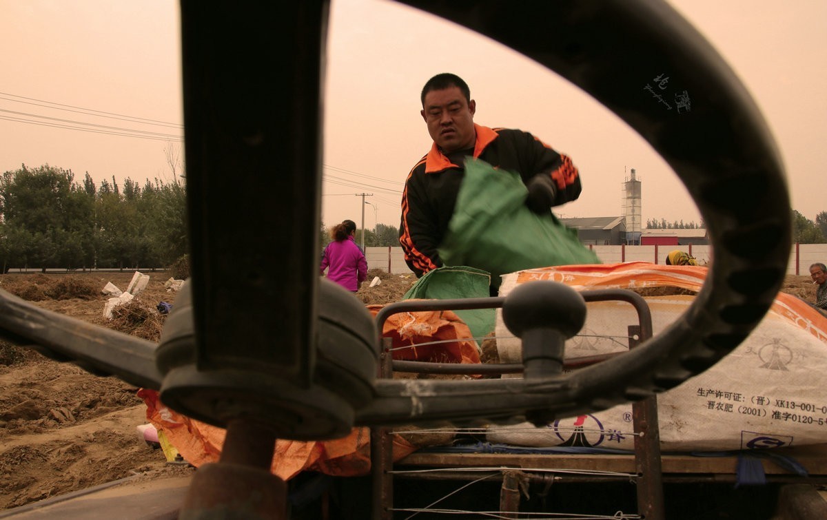 一组劳动纪实：刨白山药