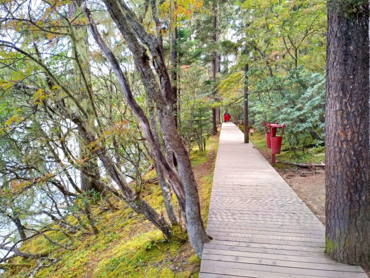 香格里拉-普达措属都湖