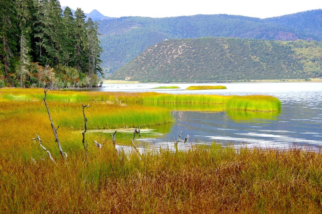香格里拉-普达措属都湖