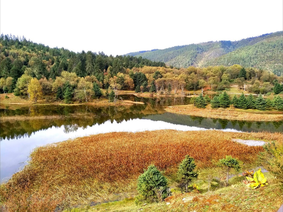 香格里拉-普达措属都湖