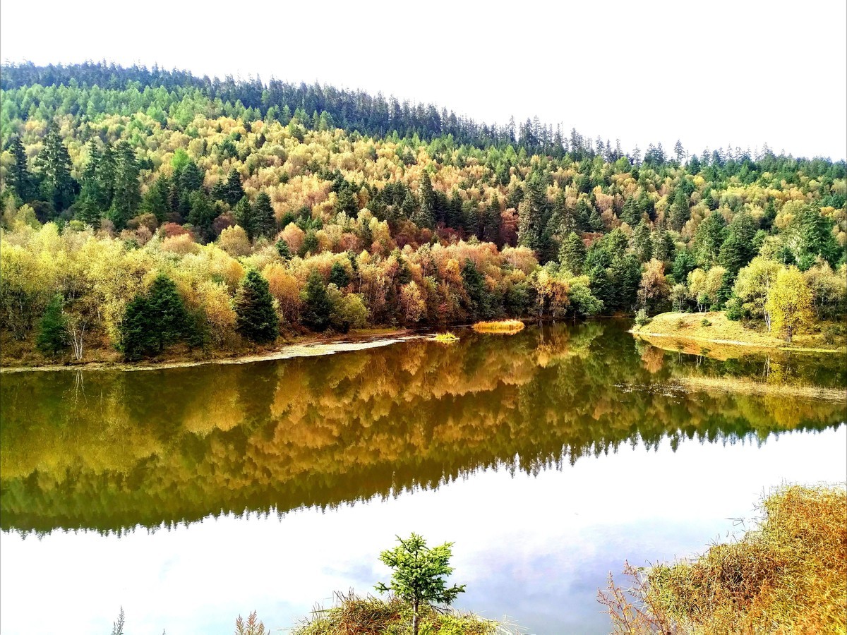 香格里拉-普达措属都湖