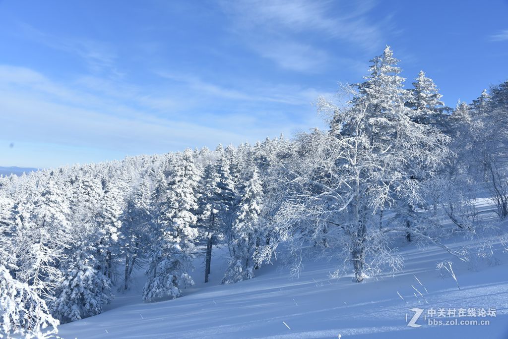 北国风光---冰雪童话-中关村在线摄影论坛