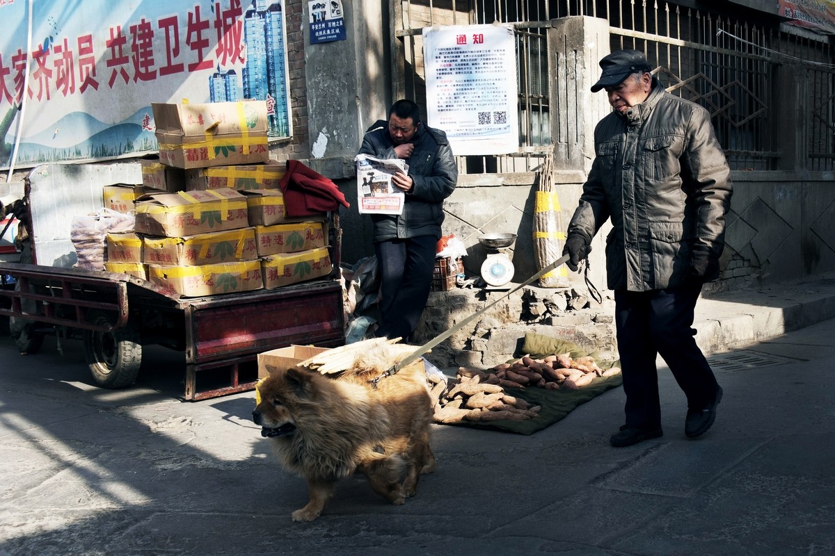熟悉的城 陌生的人（三）