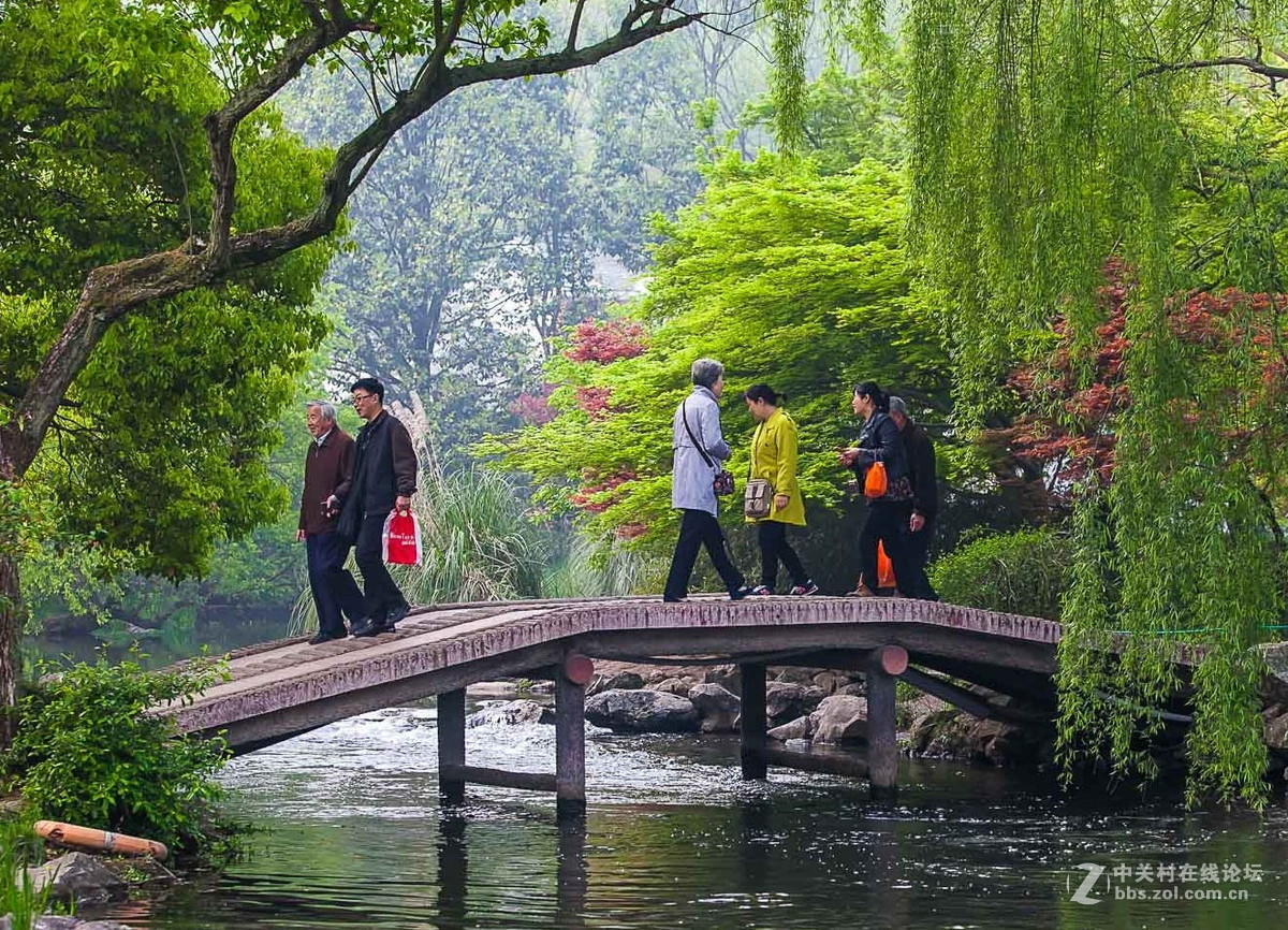 杭州西湖边太子湾公园