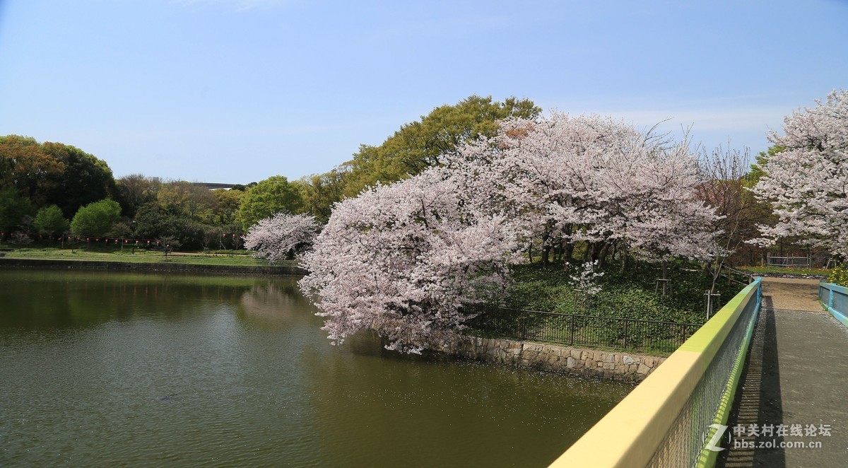 长居公园随拍