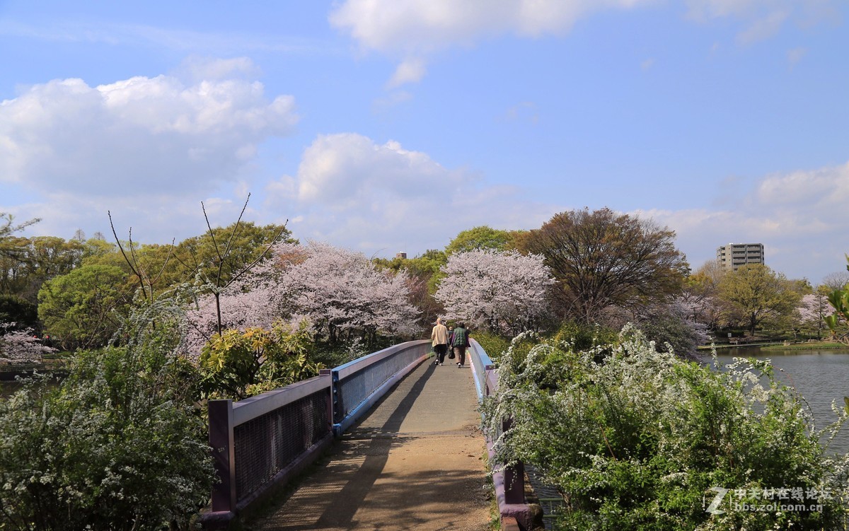 长居公园随拍