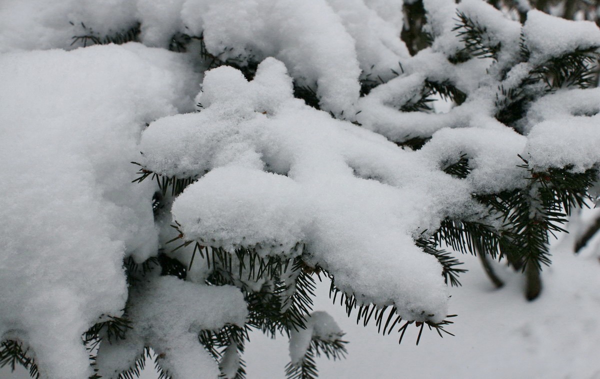 雪飘哈尔滨