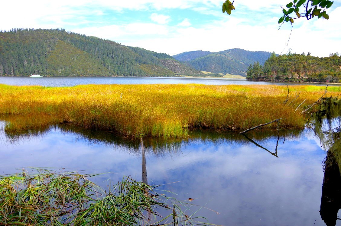 香格里拉-普达措属都湖