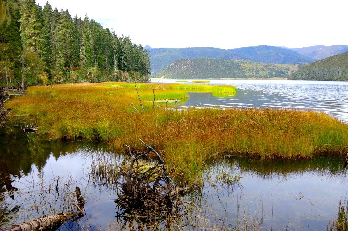 香格里拉-普达措属都湖