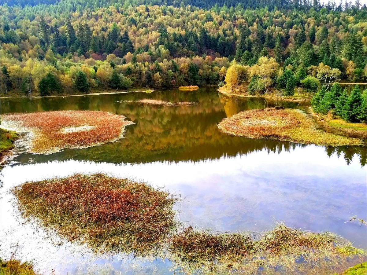 香格里拉-普达措属都湖
