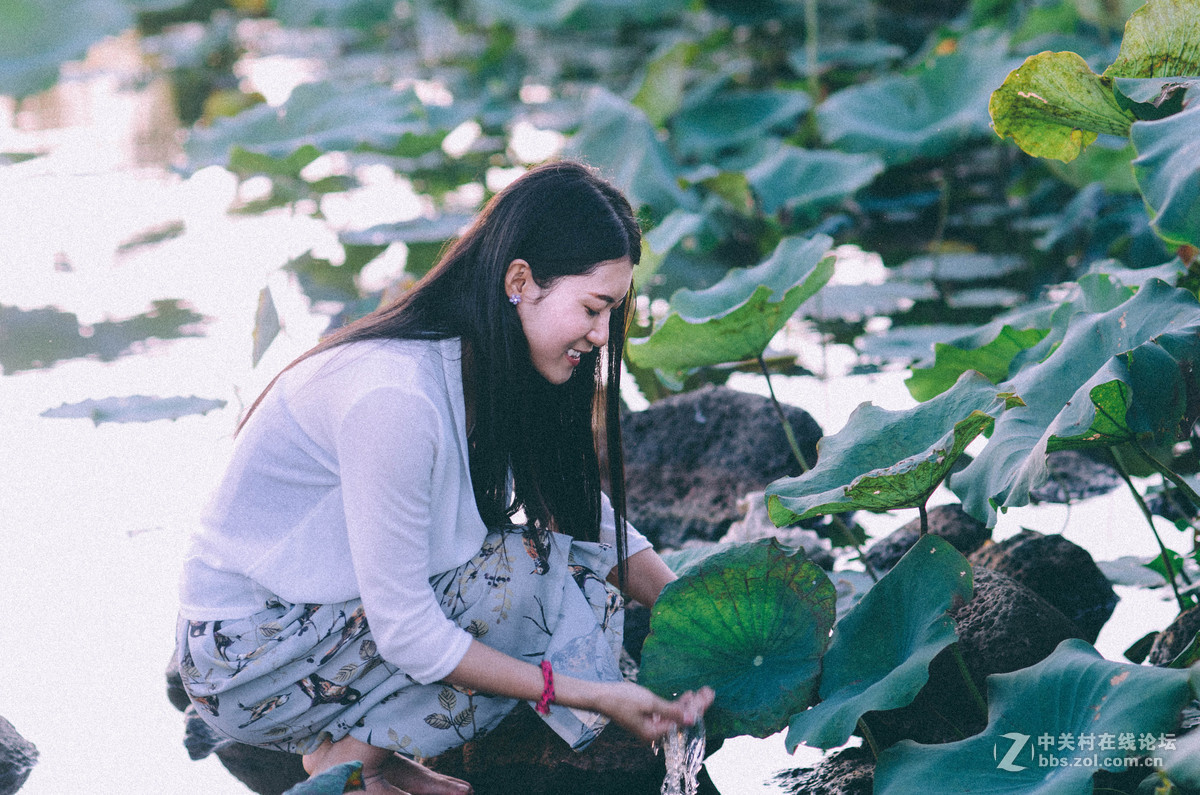 #荷花女#