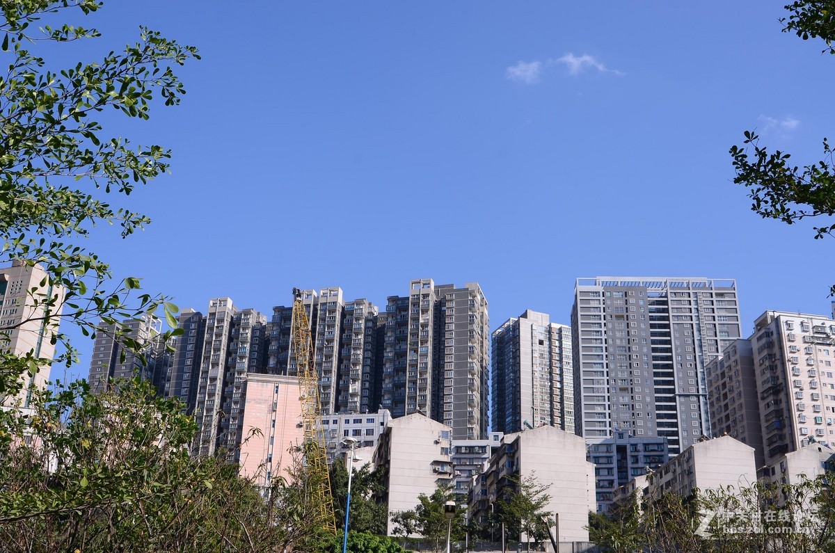 尼康28-70 3.5-4.5D试镜