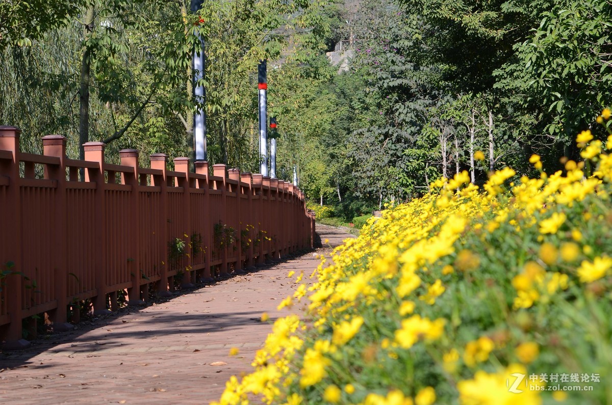 尼康28-70 3.5-4.5D试镜