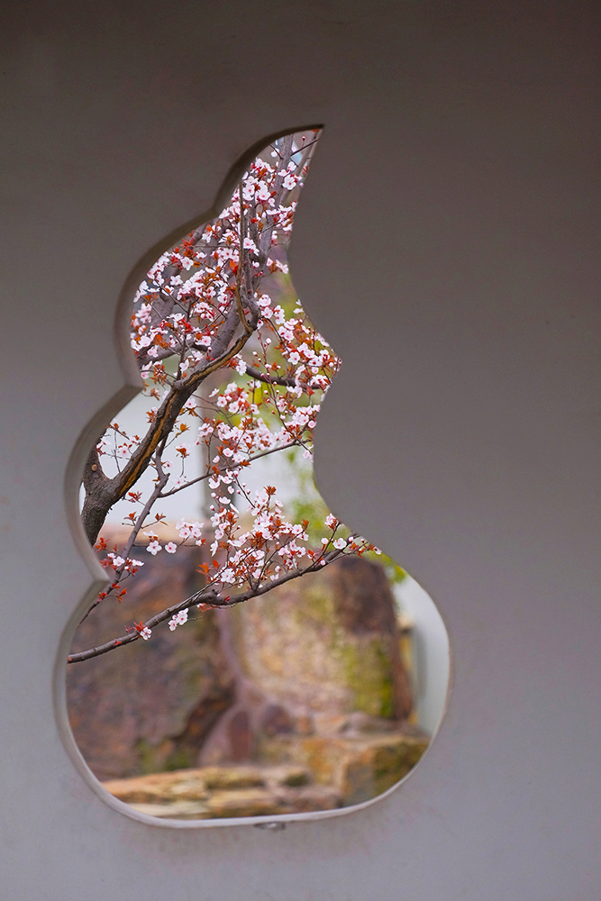 #我镜中的园林（公园）点名评片# ——虎丘春晓（请地理探索老师和闲人阿超老师评