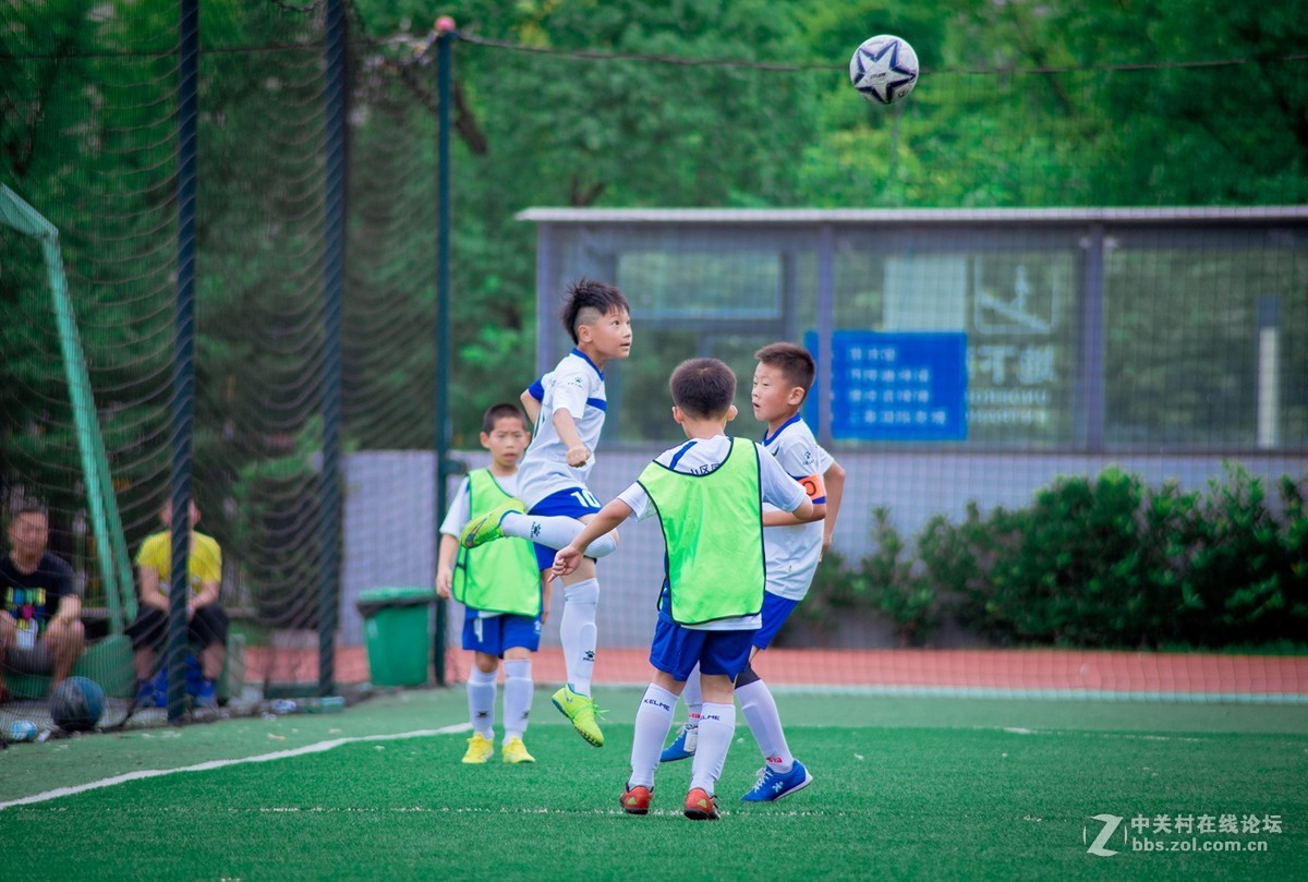 入了个70-300小纸炮