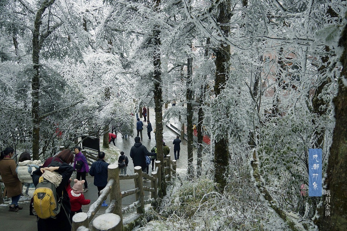 成都印象之金顶