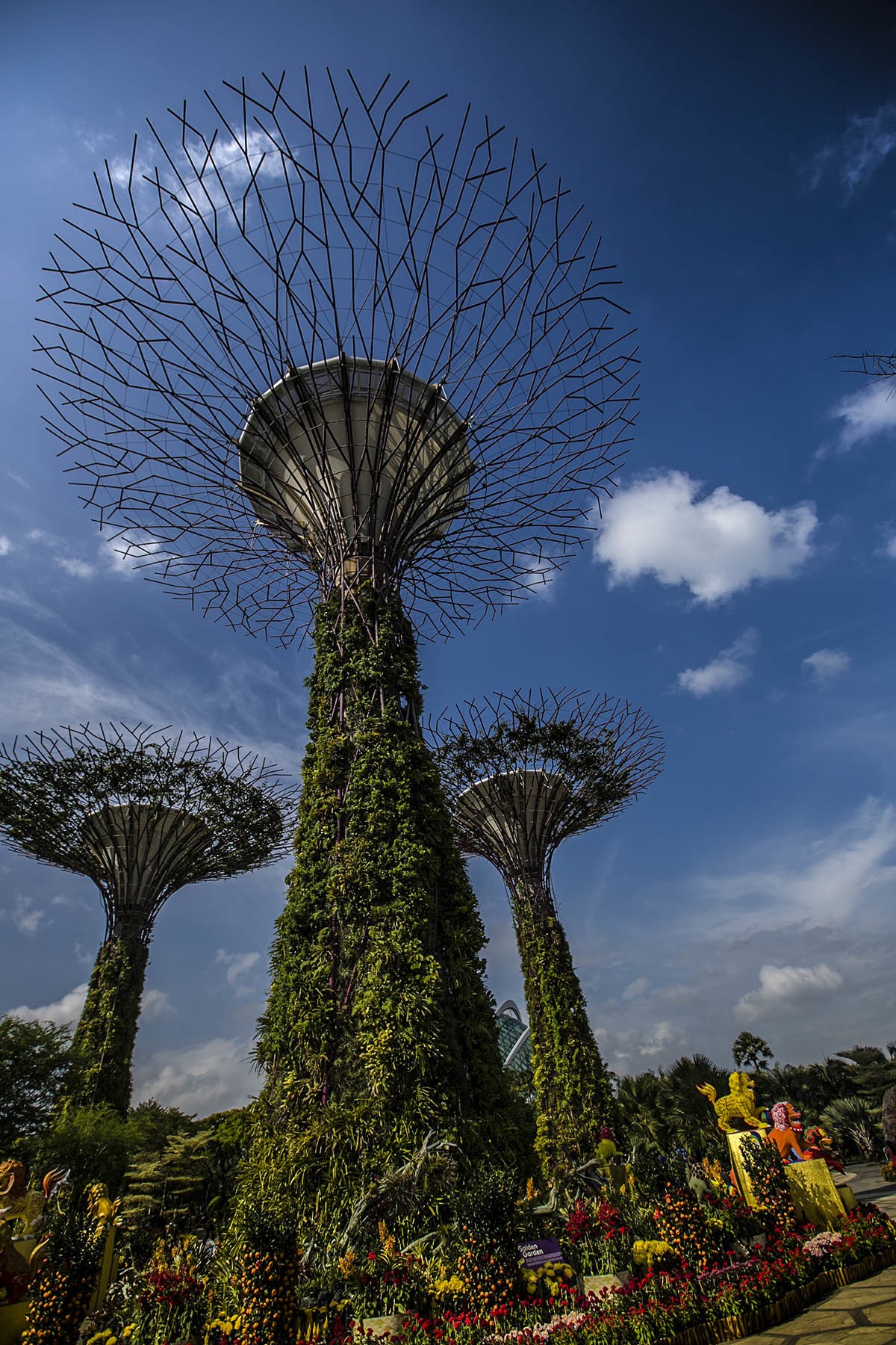 管窥网红立体植物园——新加坡滨海湾花园-中关村在线摄影论坛