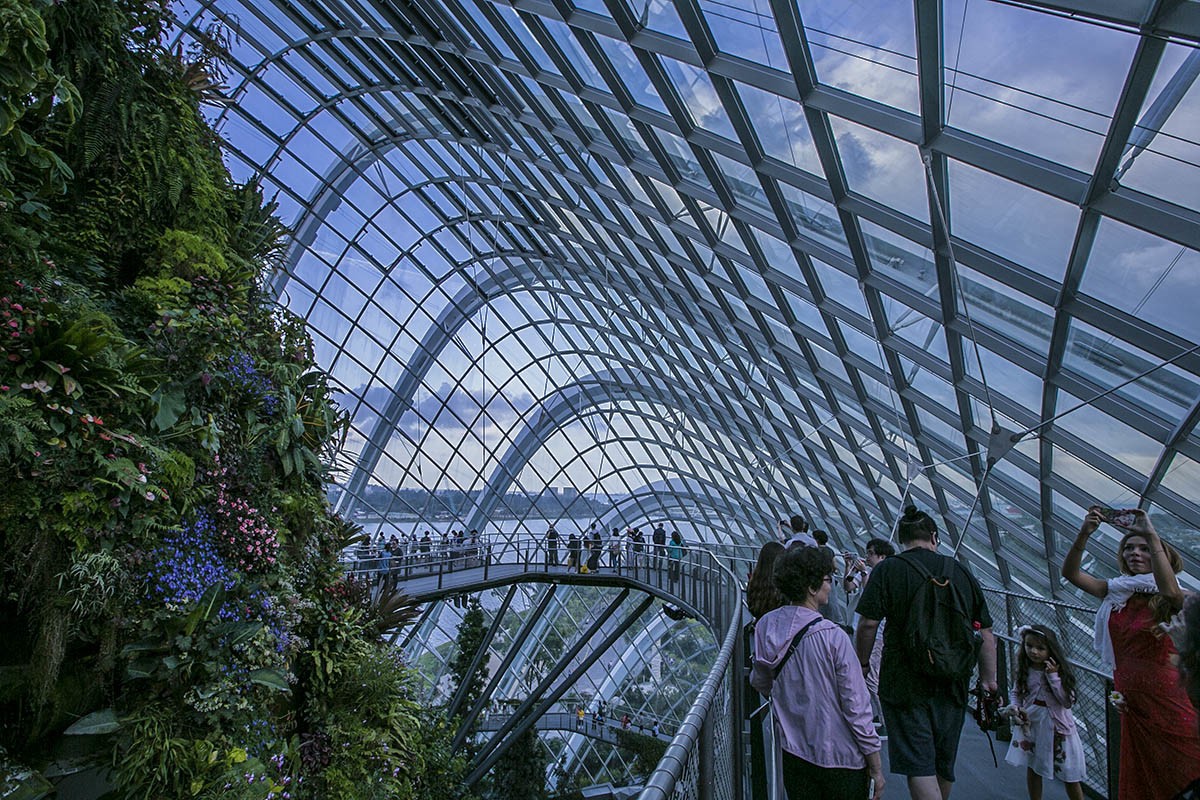 管窥网红立体植物园——新加坡滨海湾花园-中关村在线摄影论坛