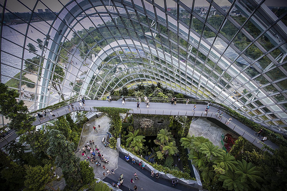 管窥网红立体植物园——新加坡滨海湾花园-中关村在线摄影论坛
