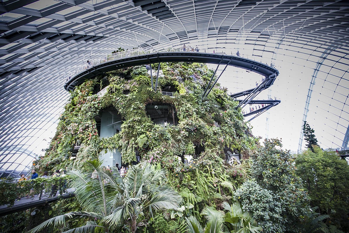管窥网红立体植物园——新加坡滨海湾花园-中关村在线摄影论坛
