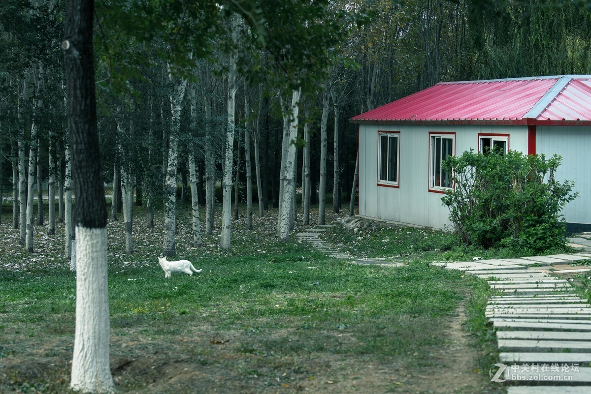 尼康70--200E随拍