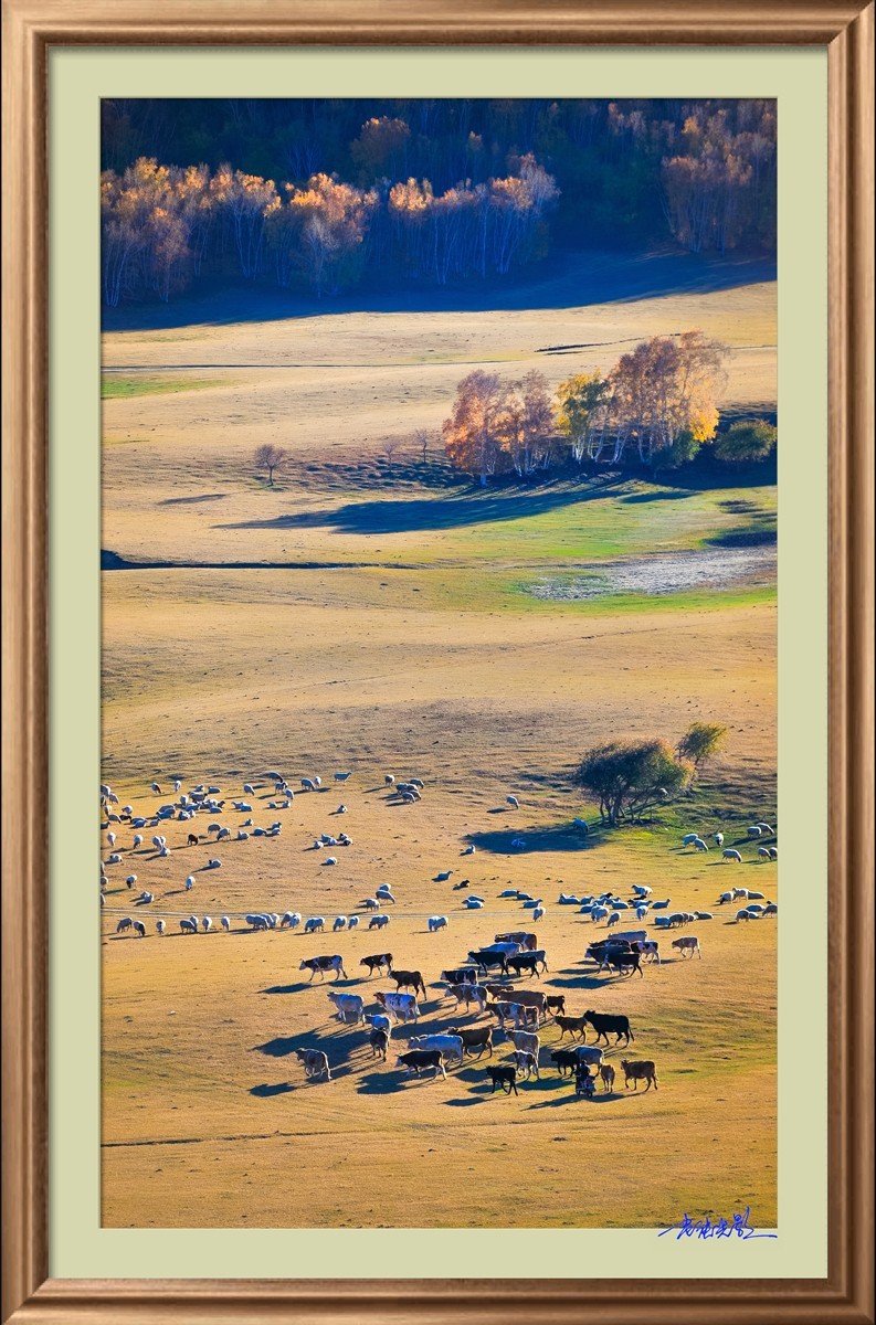 【老张光影】坝上光影（竖版）