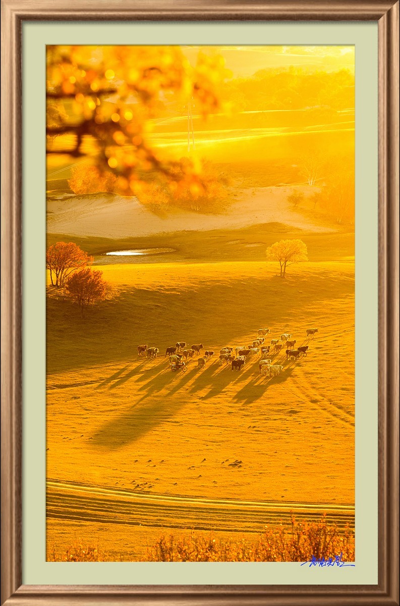 【老张光影】坝上光影（竖版）