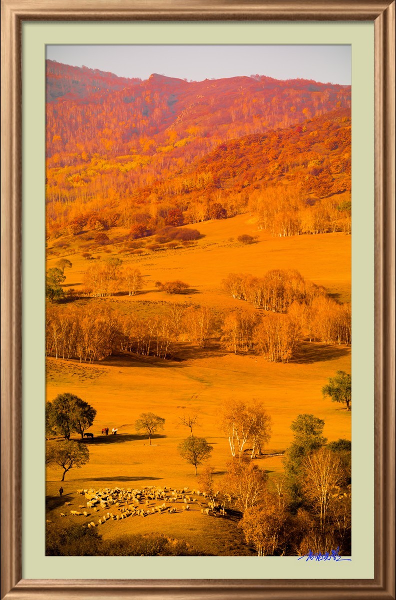 【老张光影】坝上光影（竖版）