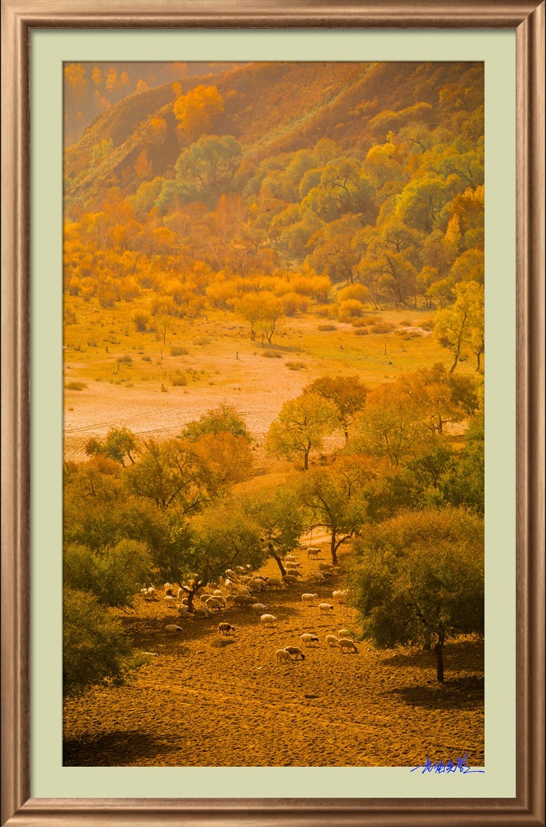 【老张光影】坝上光影（竖版）